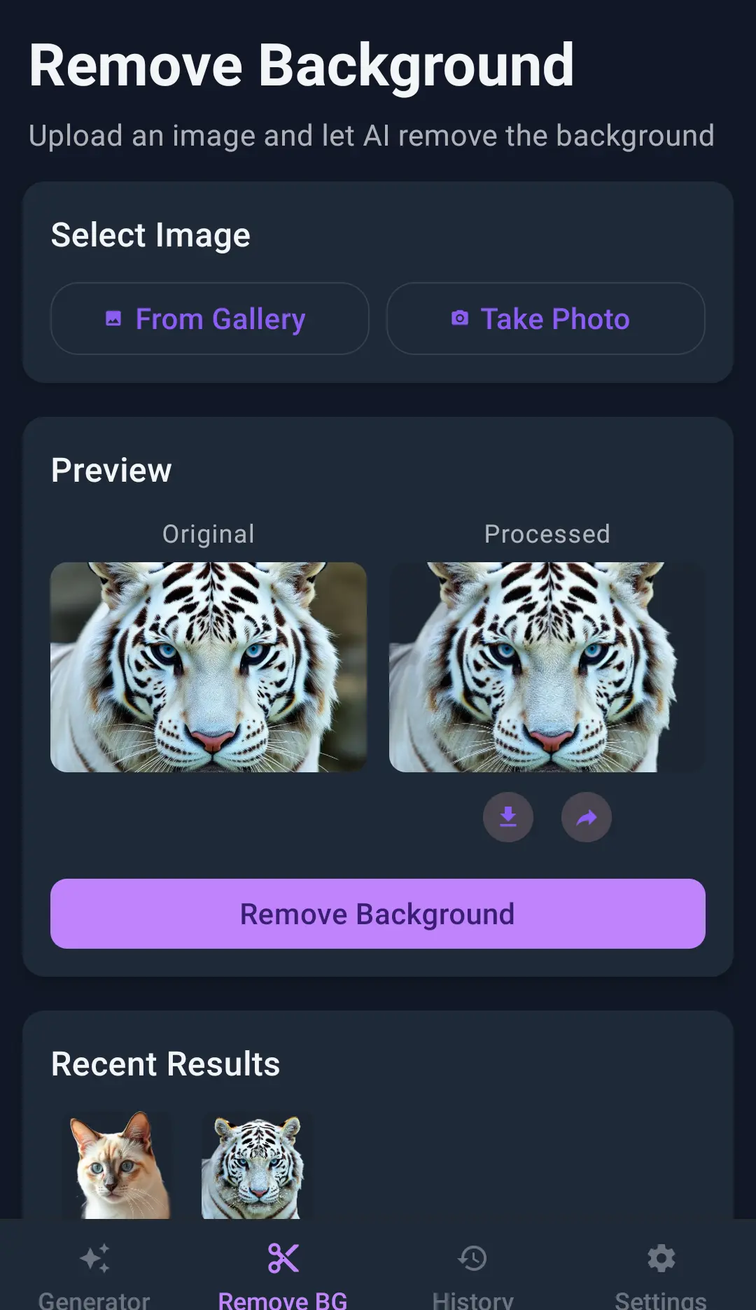 AI background remover preview